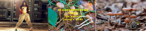 прущие крисы Нягань