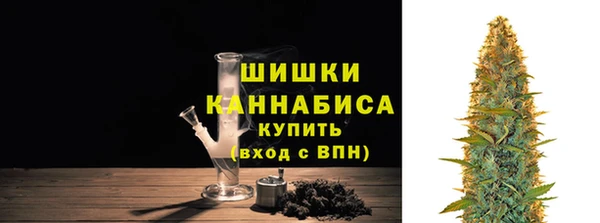 дживик Новодвинск