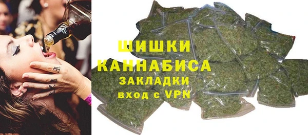 трава Новозыбков