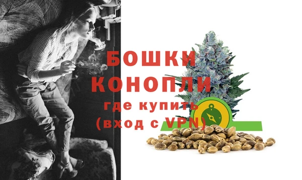 трава Новозыбков