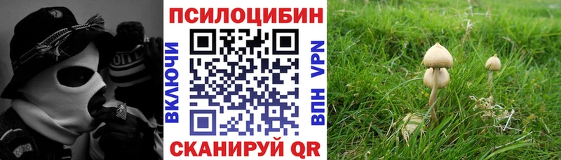 Галлюциногенные грибы Cubensis  Купить где  Ардатов 